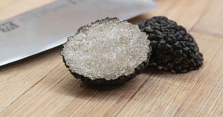 Truffe Provence Truffe Provence