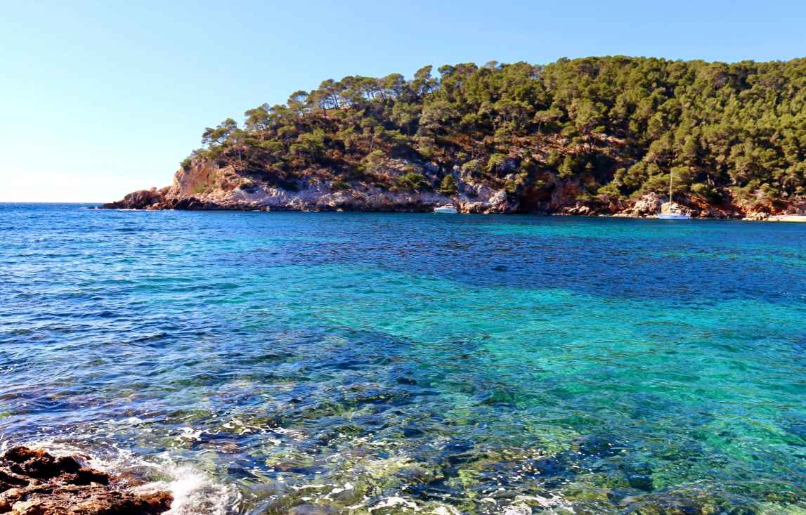 vivre à Saint-Cyr-sur-Mer