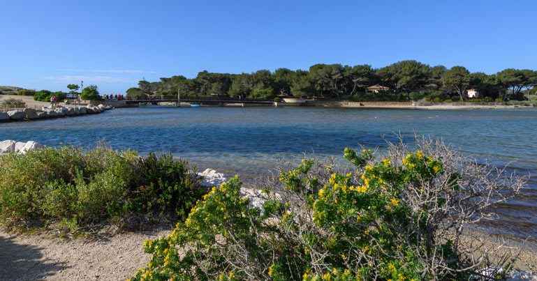 Vue du quartier du Brusc à Six-Fours-les-Plages, littoral et port