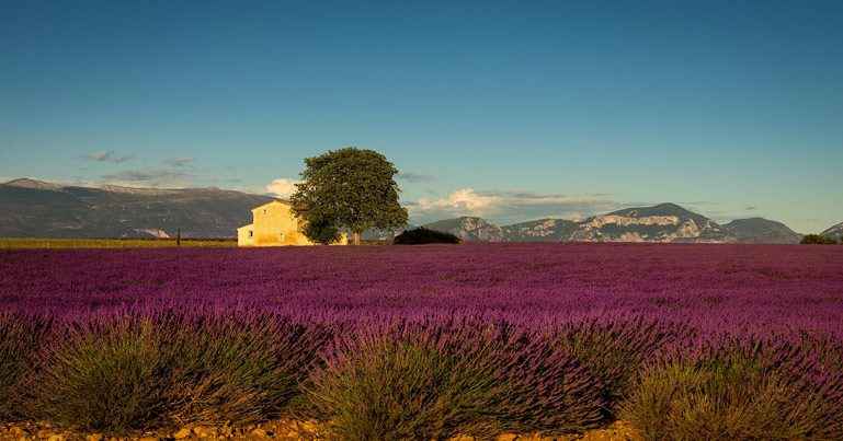 Les plus beaux villages des Alpes de Haute Provence