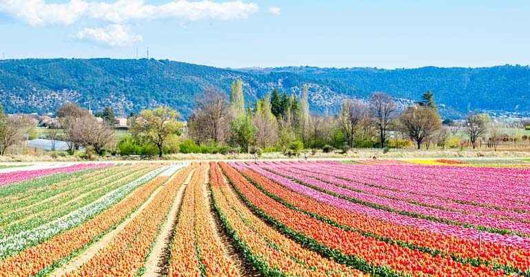 Retiring to the Luberon amid vineyards and authenticity